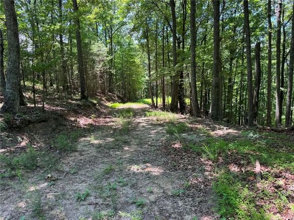1450 Hanna Drive , Ranger, GA 30734