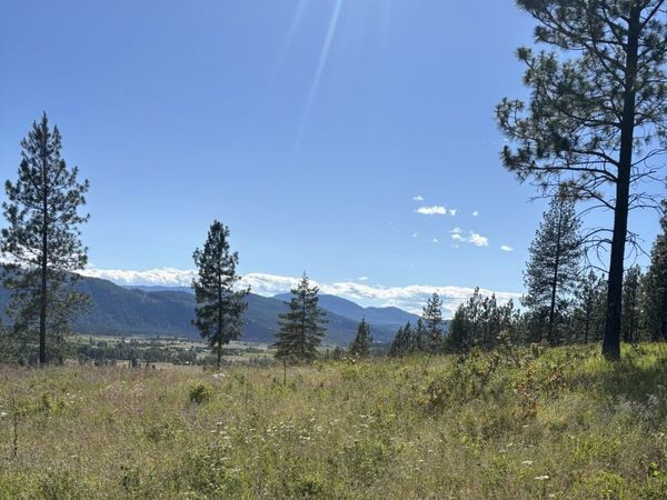 2392 Cozy Nook Rd, Chewelah, WA 99109