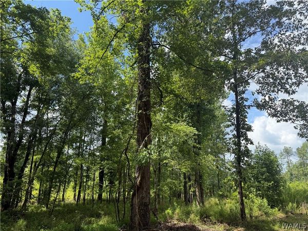 5 Samson Clements Loop Road , Berry, AL 35546