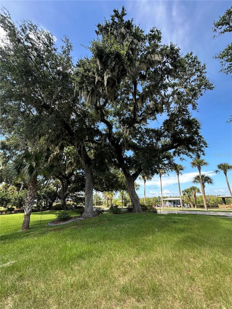 622 N Riverside Drive , New Smyrna Beach, FL 32168 Photo