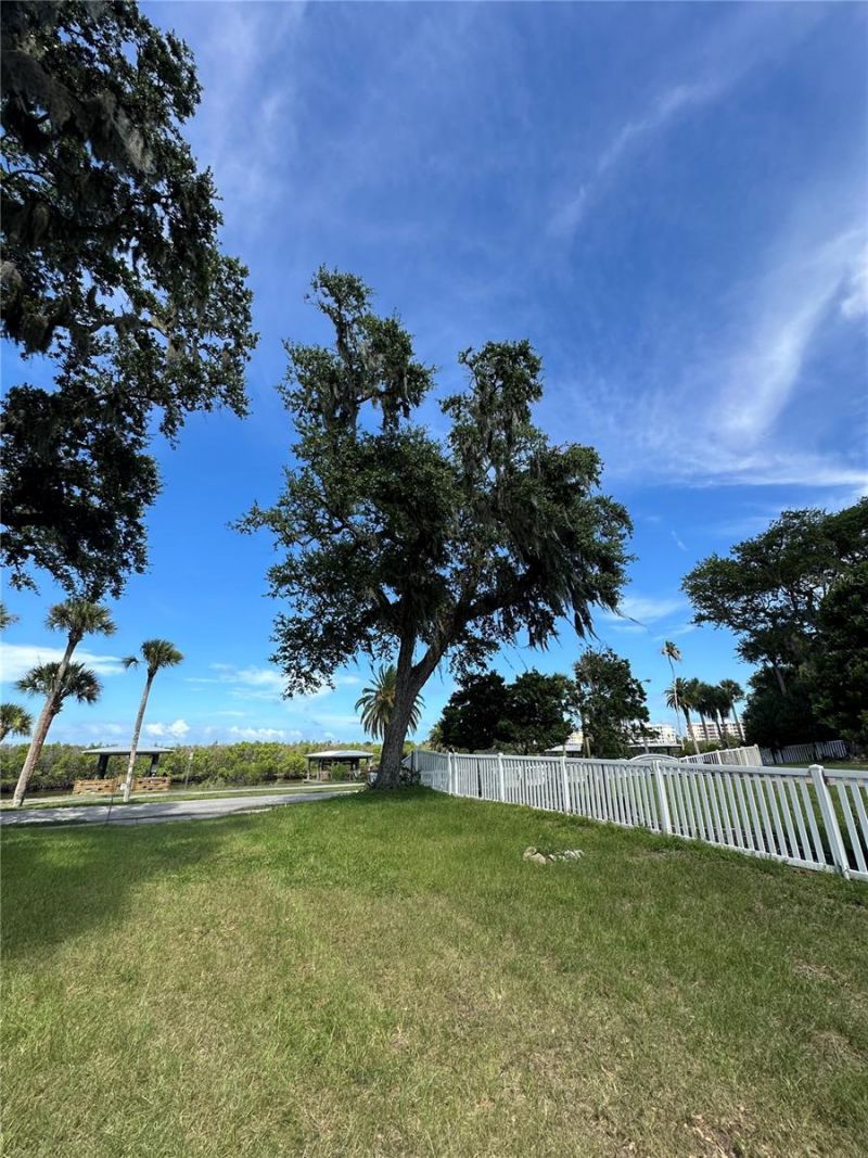 622 N Riverside Drive , New Smyrna Beach, FL 32168 Photo
