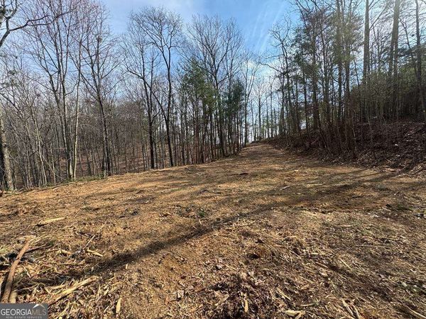 1450 Hanna Drive, Ranger, GA 30734