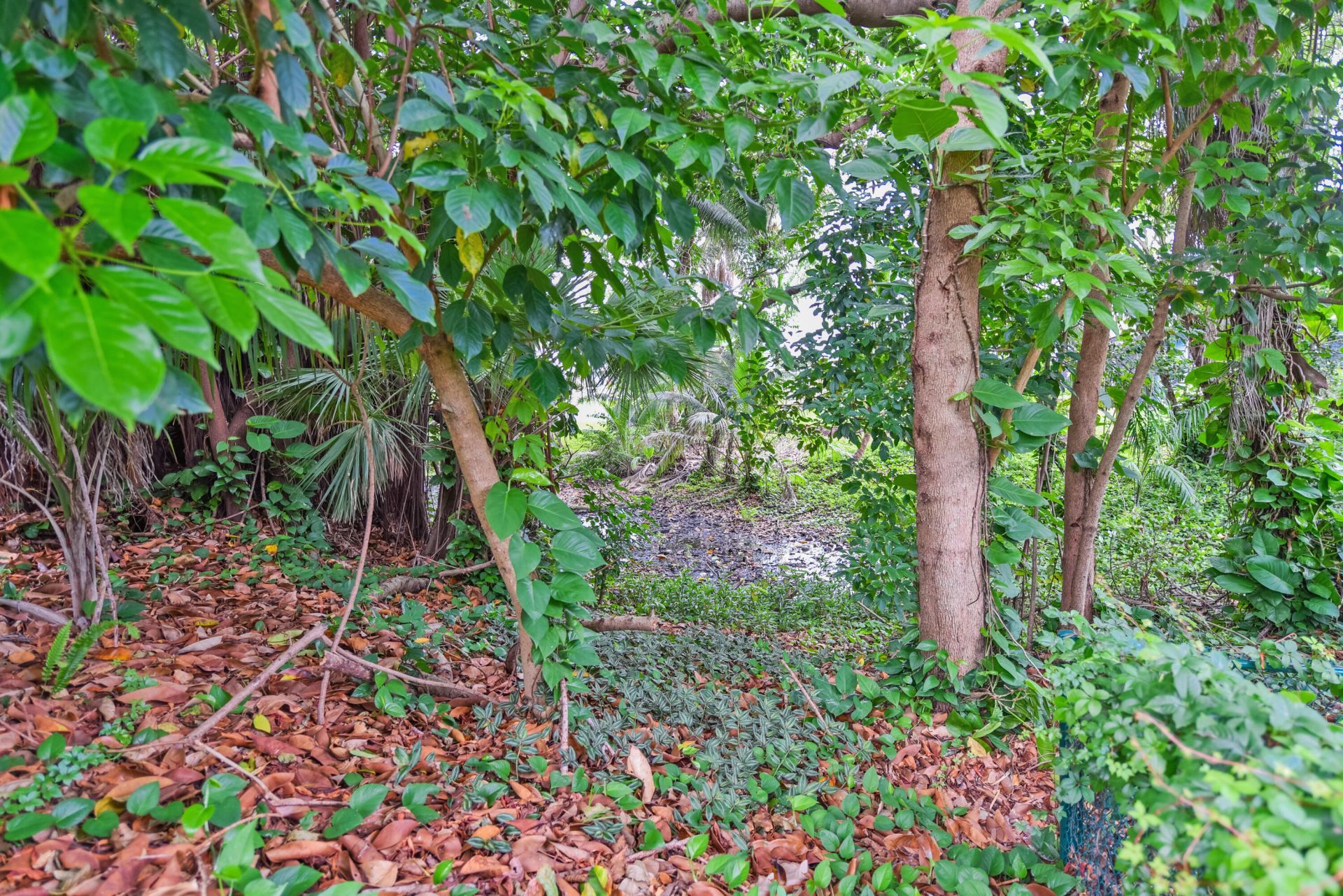91 SW 11th Avenue, Boca Raton, FL 33486 Photo