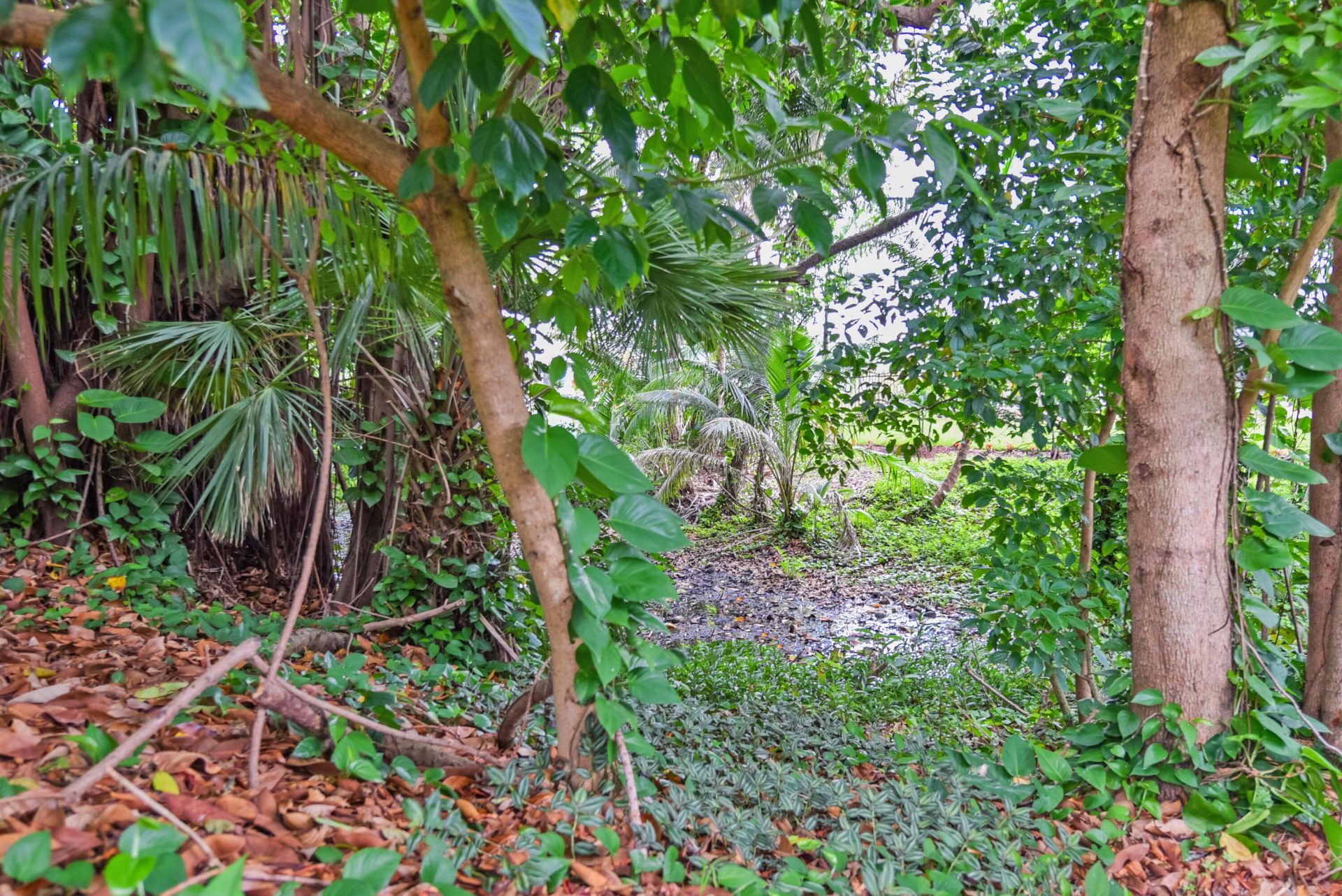 91 SW 11th Avenue, Boca Raton, FL 33486 Photo