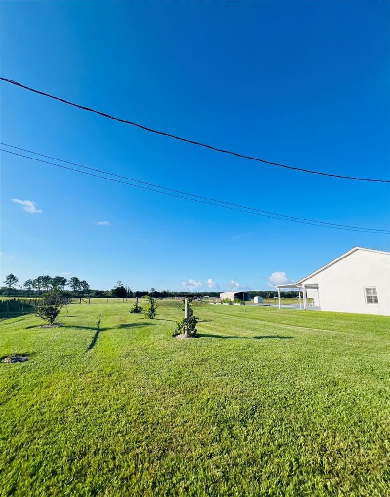 9120 County Road 304, Bunnell, FL 32110 Photo