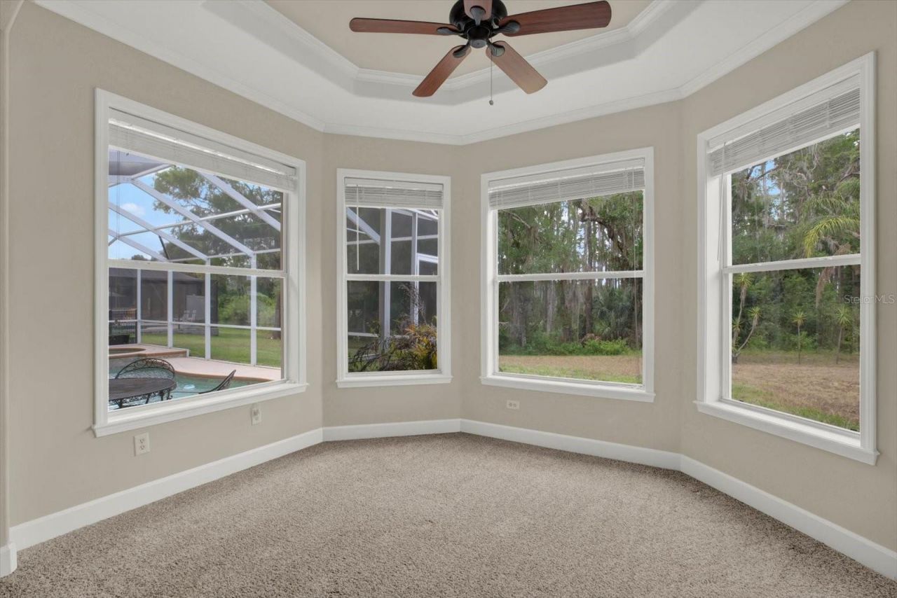 9137 Creedmoor Lane, New Port Richey, FL 34654 Photo