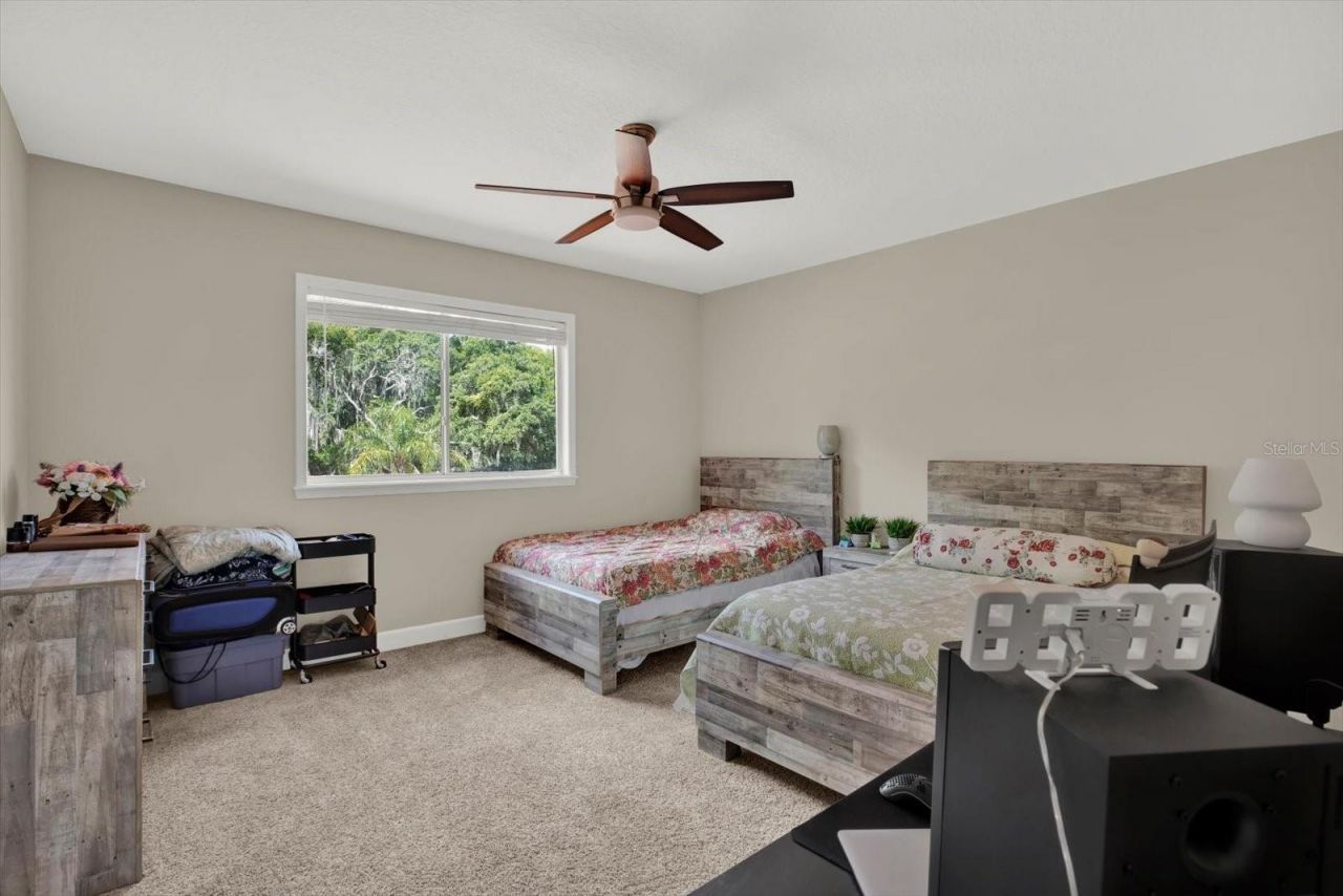 9137 Creedmoor Lane, New Port Richey, FL 34654 Photo
