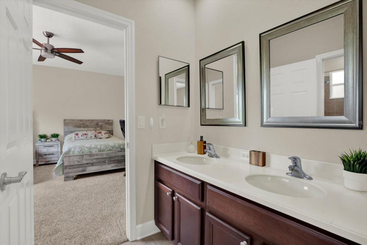 9137 Creedmoor Lane, New Port Richey, FL 34654 Photo