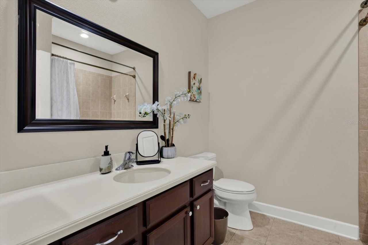 9137 Creedmoor Lane, New Port Richey, FL 34654 Photo