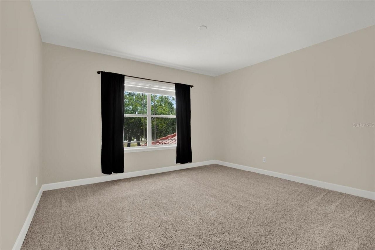 9137 Creedmoor Lane, New Port Richey, FL 34654 Photo