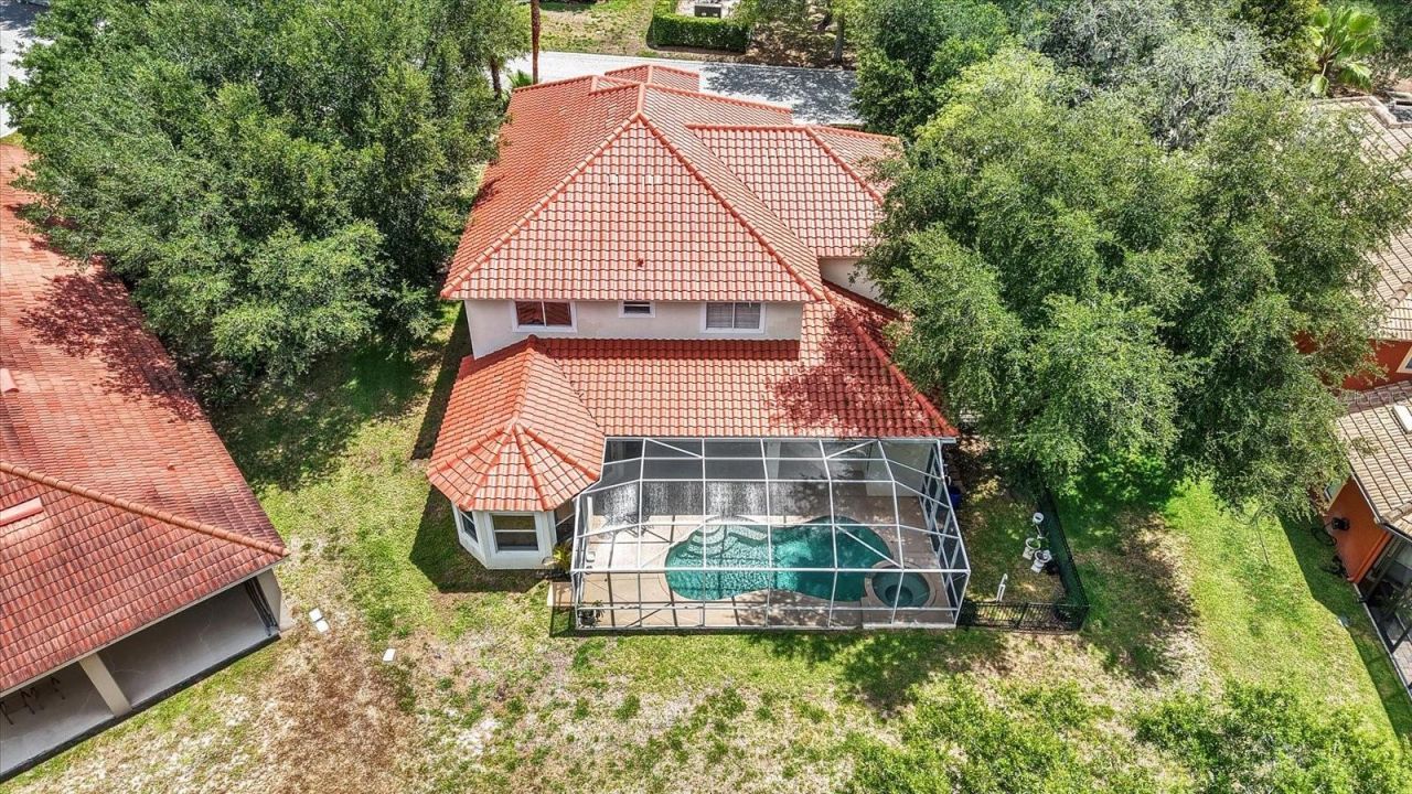 9137 Creedmoor Lane, New Port Richey, FL 34654 Photo