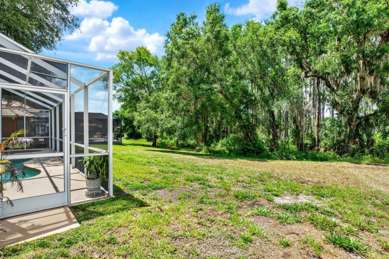 9137 Creedmoor Lane, New Port Richey, FL 34654 Photo