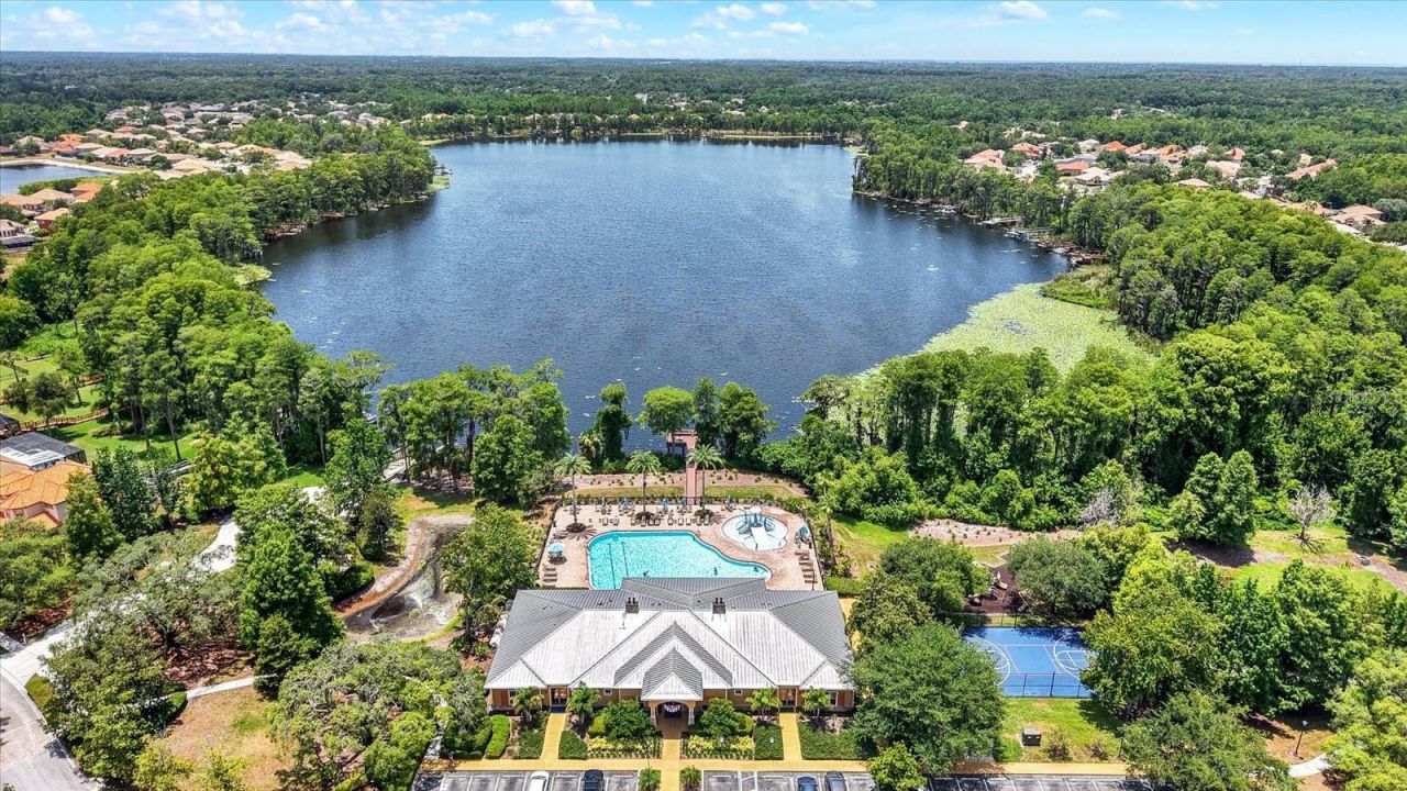 9137 Creedmoor Lane, New Port Richey, FL 34654 Photo