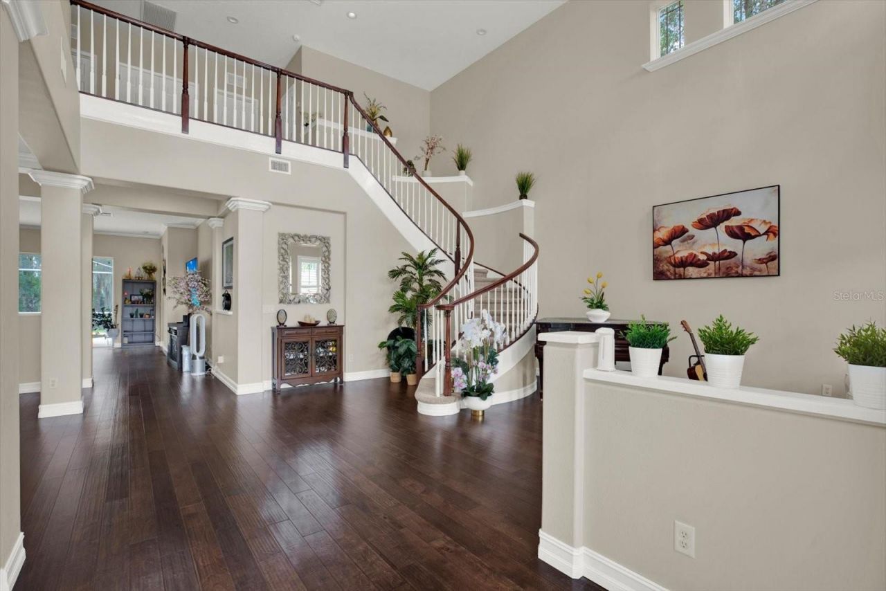 9137 Creedmoor Lane, New Port Richey, FL 34654 Photo