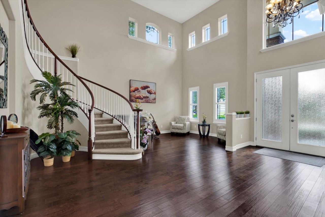 9137 Creedmoor Lane, New Port Richey, FL 34654 Photo