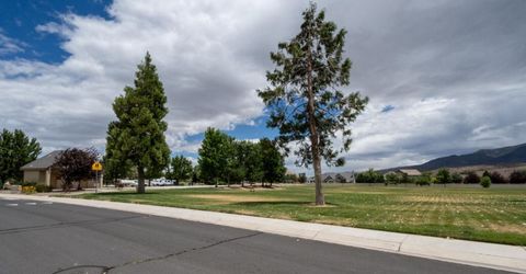 111 Denio Drive, Dayton, NV 89403 Photo