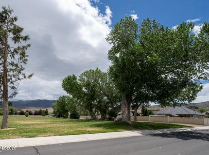 111 Denio Drive, Dayton, NV 89403 Photo