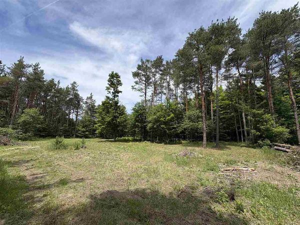 1280 Mountain Road, East Jordan, MI 49727