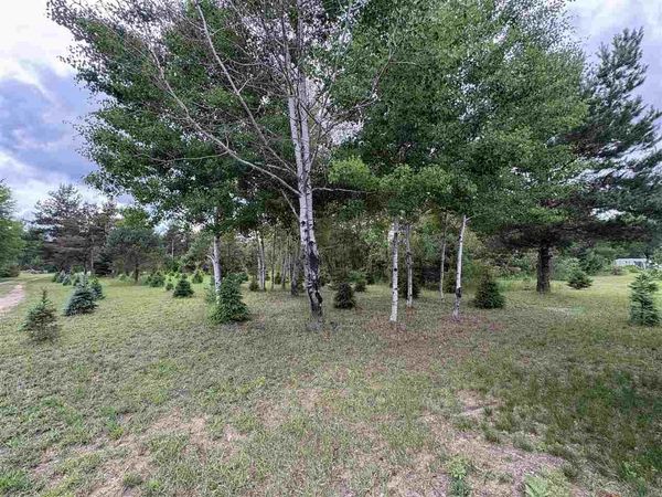 9526 Johnson Road, Mancelona, MI 49659