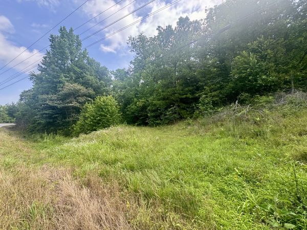 0 Highway 13 S , Waverly, TN 37185