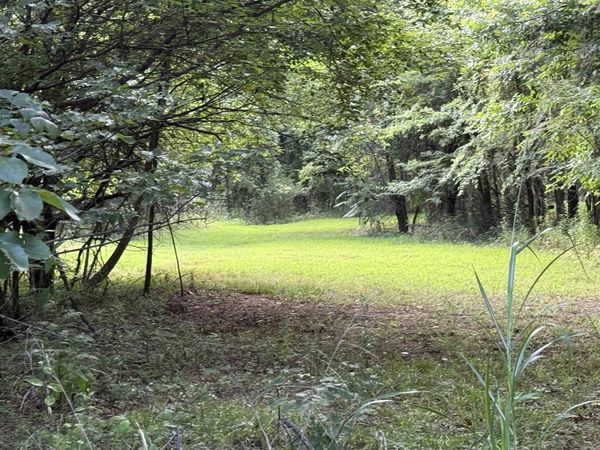 582 County Road 2291 , Hartman, AR 72840
