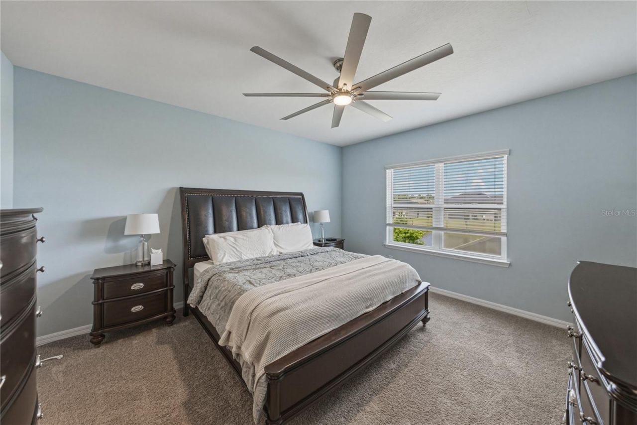 6978 Bradbury Circle, Wesley Chapel, FL 33545 Photo