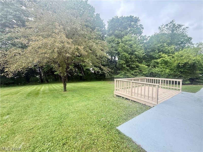 347 Patton Avenue, Wintersville, OH 43953 Photo 24
