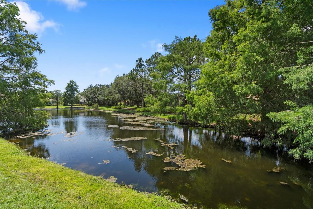 7245 Orchid Island Place, Lakewood Ranch, FL 34202 Photo