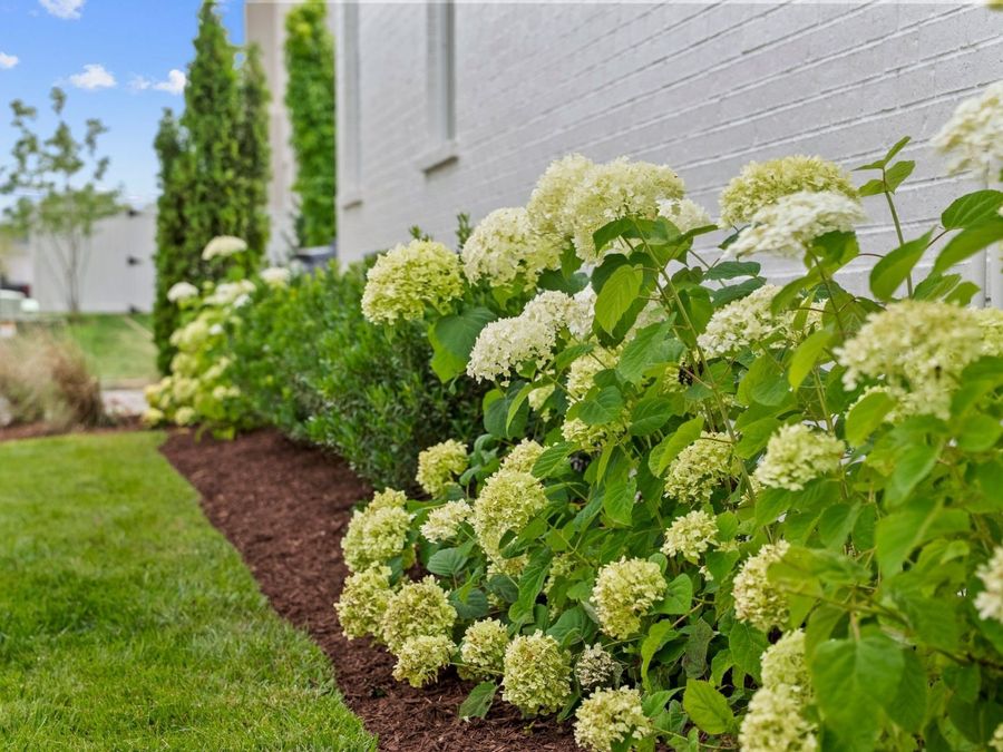 Property Image 64