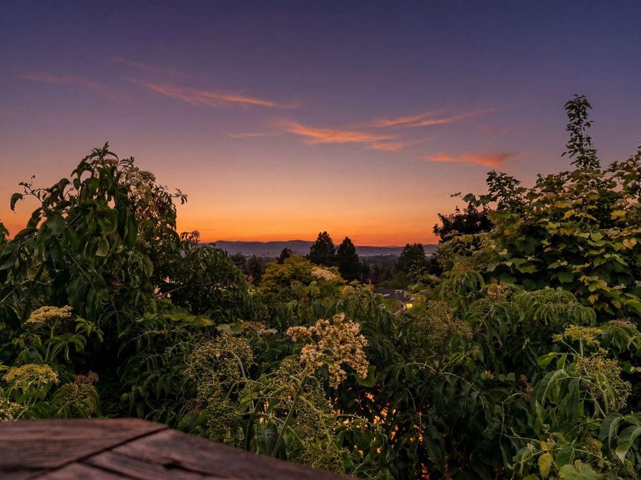 Property Image 73