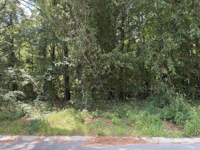 310 E Poplar Branch Drive, Moncks Corner, SC 29461