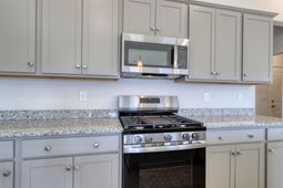 812 Wild Indigo Dr photo 4
