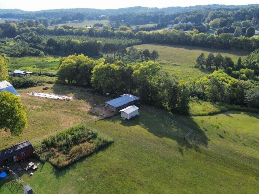 Property Image 9