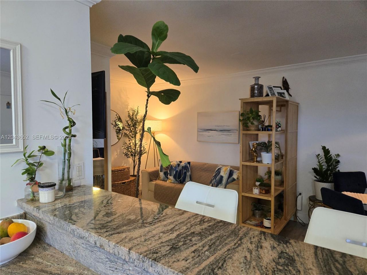820 Salzedo St, Unit 405, Coral Gables, FL 33134 Photo