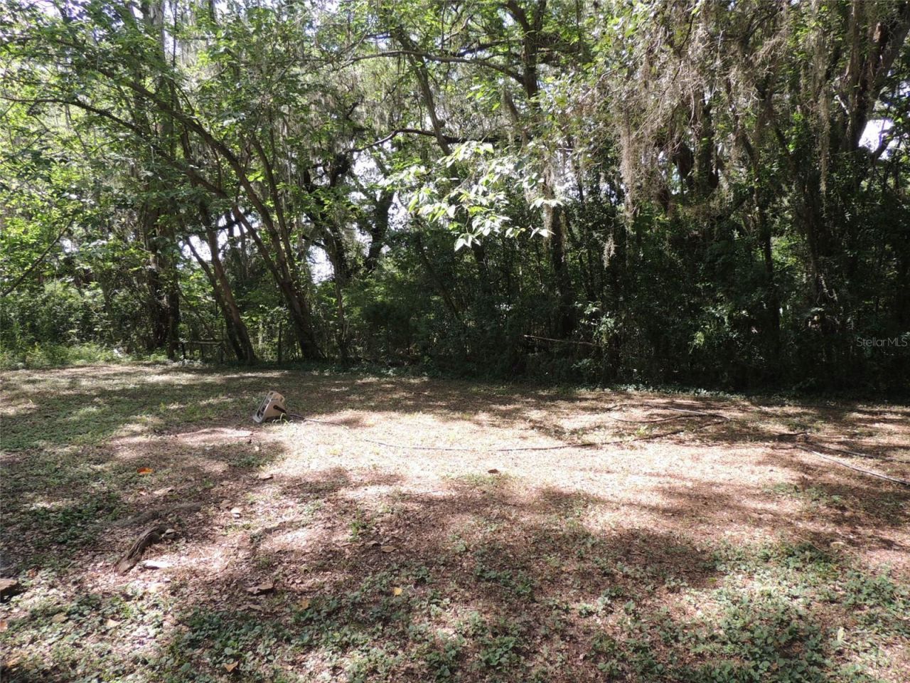 1146 NE 2nd Place , Williston, FL 32696 Photo