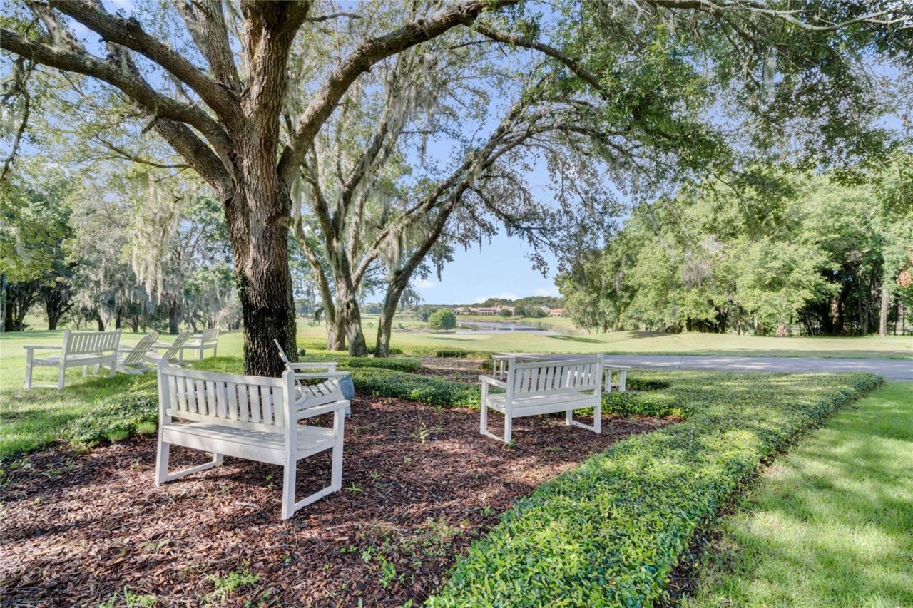 25622 Hawks Run Lane, Sorrento, FL 32776 Photo