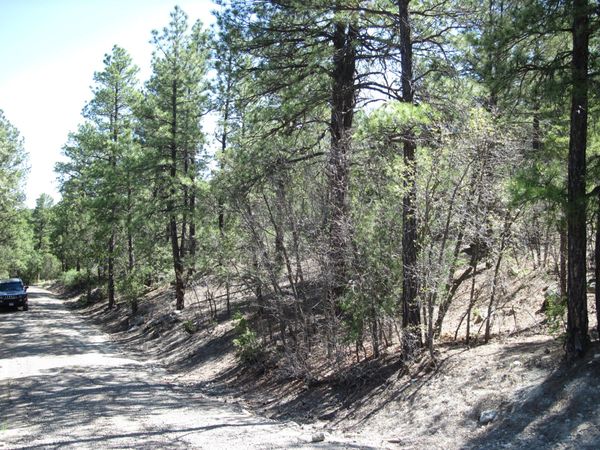 35 Green Shadow Lane , Tijeras, NM 87059