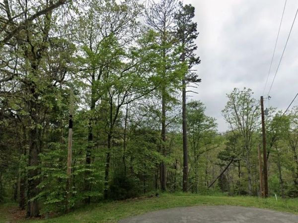 55 Little Drive, Bella Vista, AR 72715