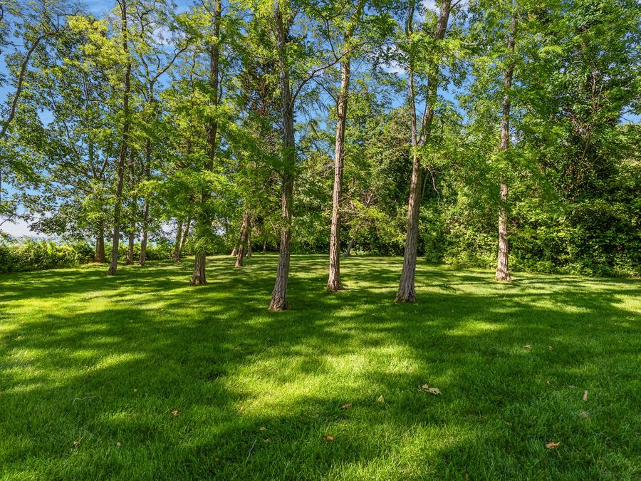 Property Image 86