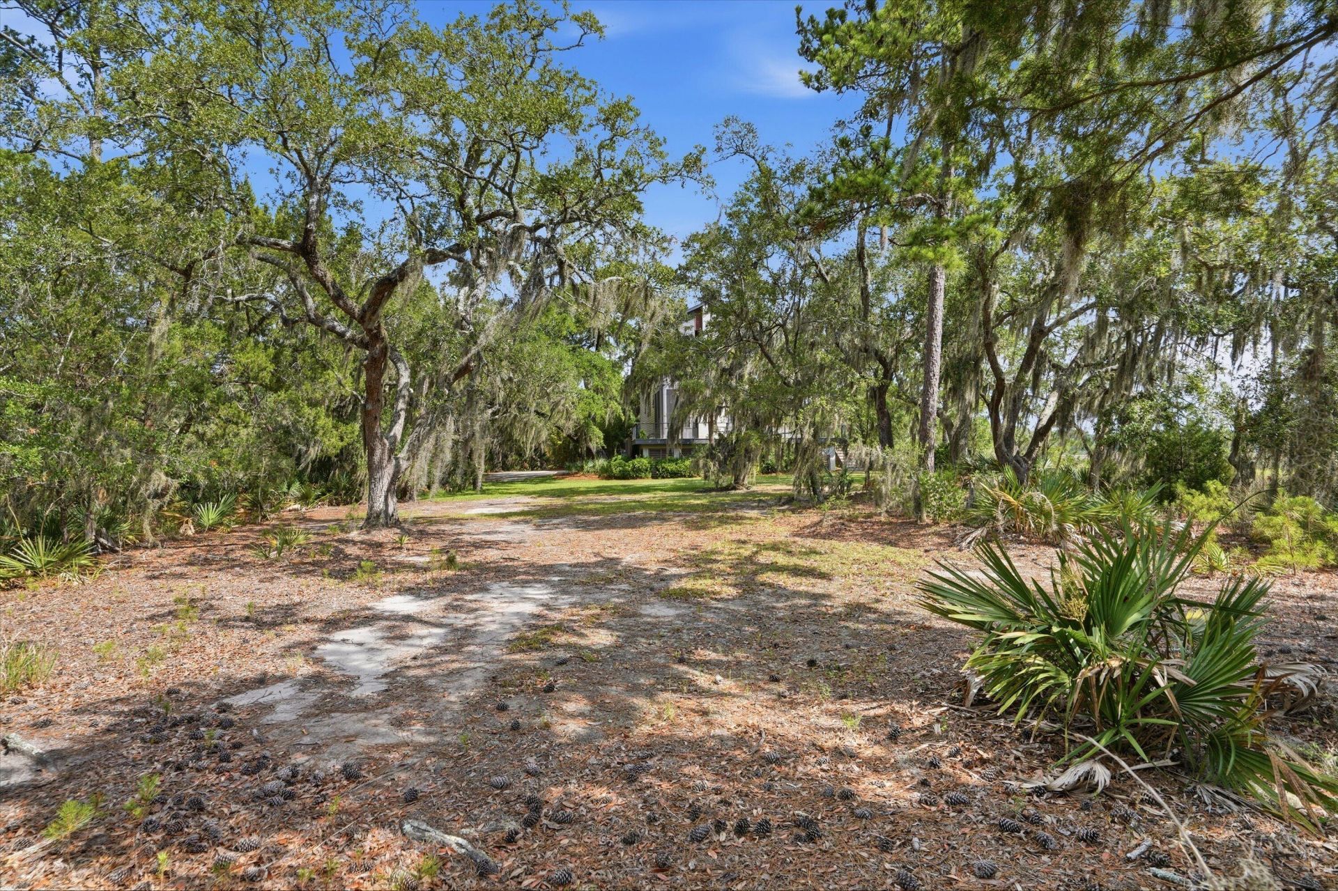 2415 Rice Pond Road Photo 37