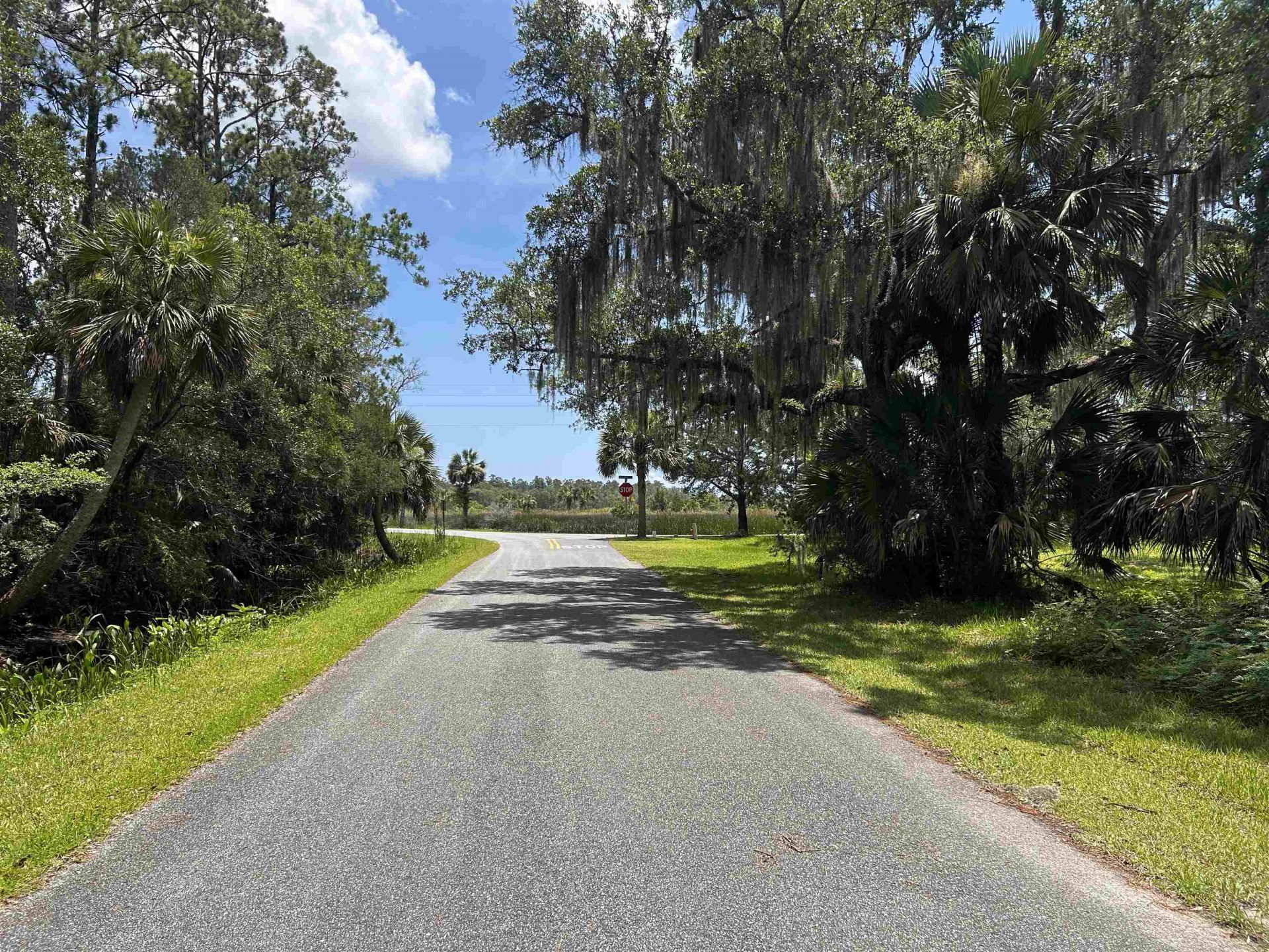 X Union Street, Saint Marks, FL 32355 Photo