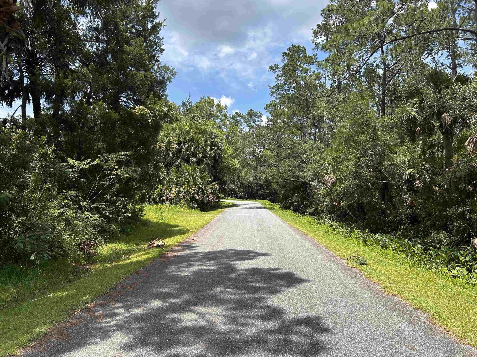 X Union Street, Saint Marks, FL 32355 Photo