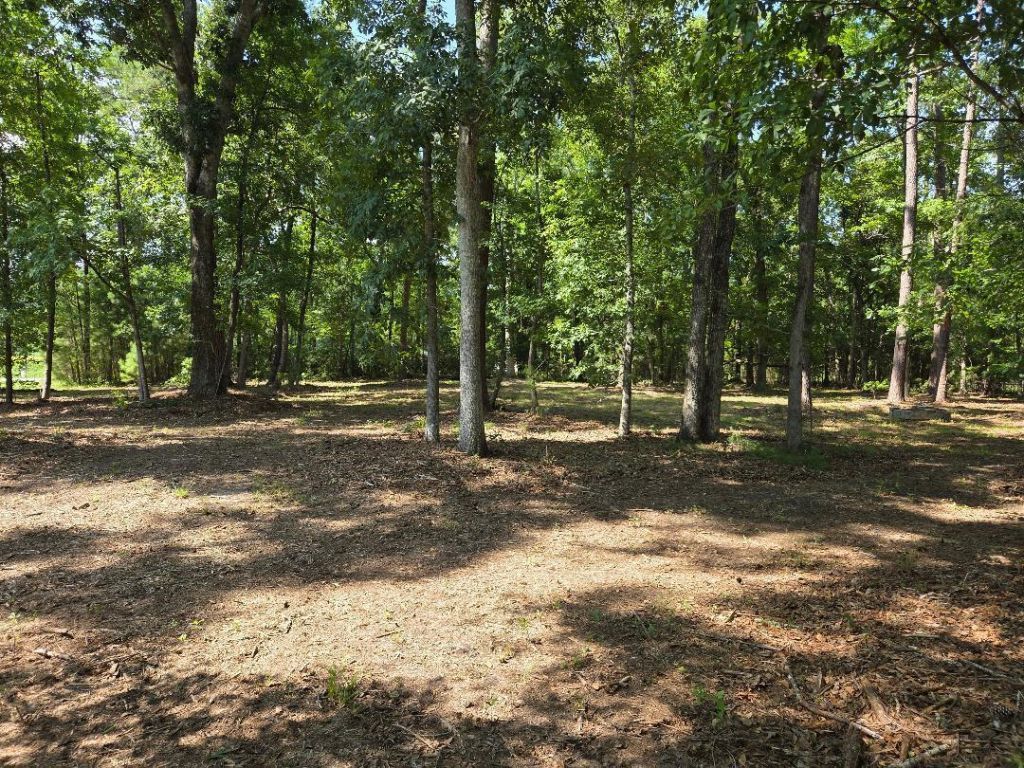 4466 Artemis Lane Photo 10