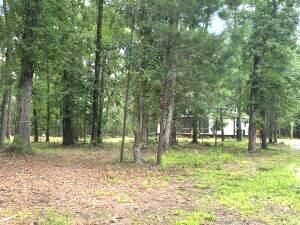 4466 Artemis Lane Photo 11