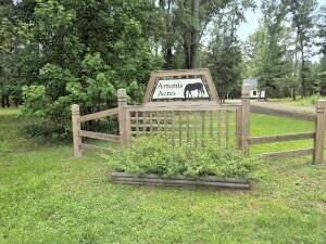 4466 Artemis Lane Photo 6