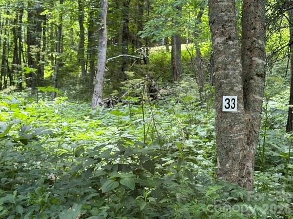Lot 33 Toi Trail , Maggie Valley, NC 28751