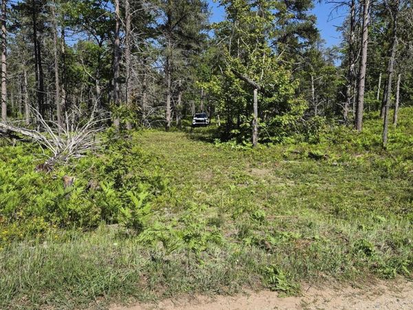 Andrus N Whitefish Point RD, Paradise, MI 49768