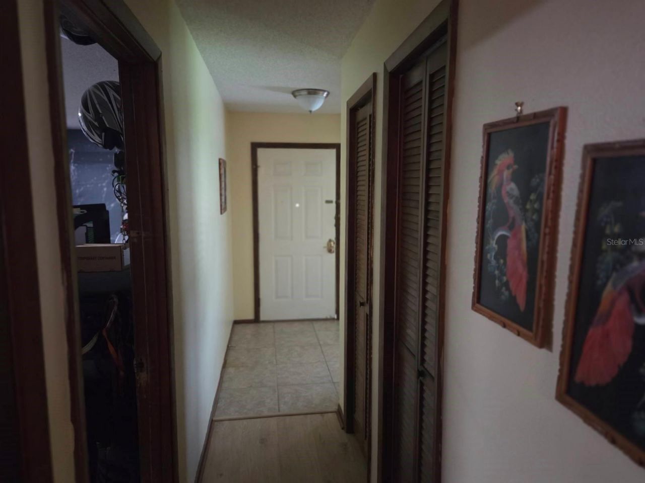 9241 Toby Lane, Orlando, FL 32817 Photo