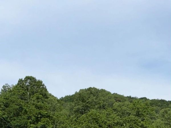 2717 Leatherwood , Greenup, KY 41141