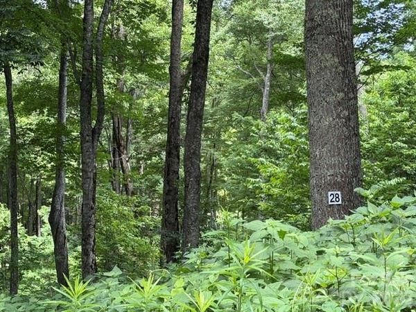 Lot 28 Toi Trail , Maggie Valley, NC 28751